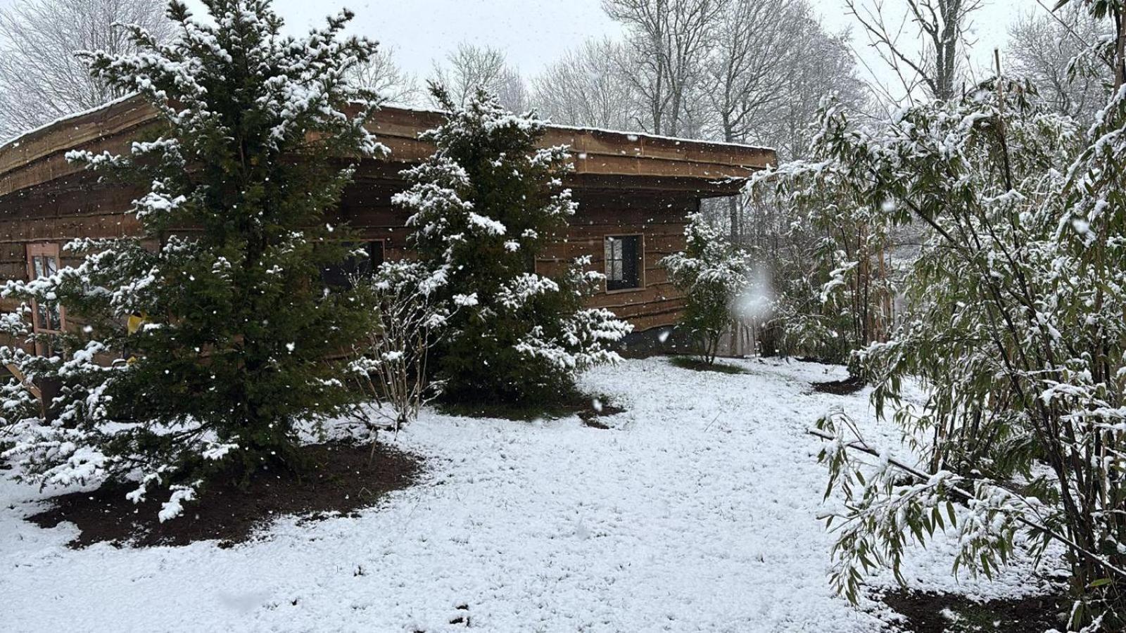 Apartamento Landgoed Wittelte Dwingeloo Exterior foto